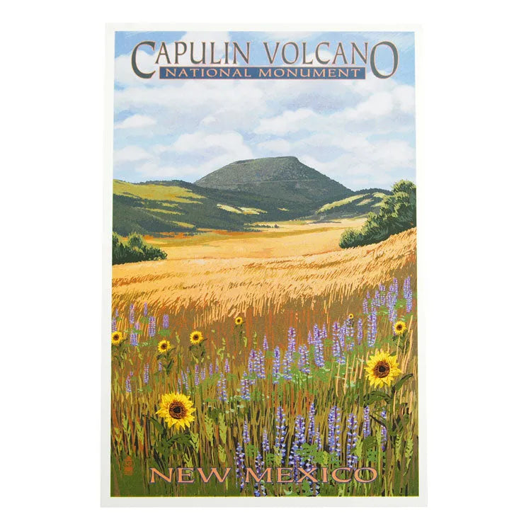 Capulin Volcano National Monument Postcard - Wildflower