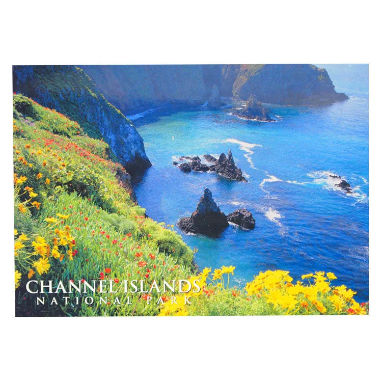 Channel Islands National Park Postcard - Cathedral Cove