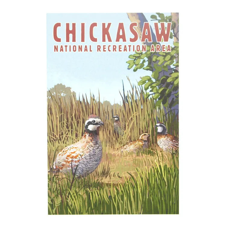 Chickasaw National Rec. Area Postcard - Quail