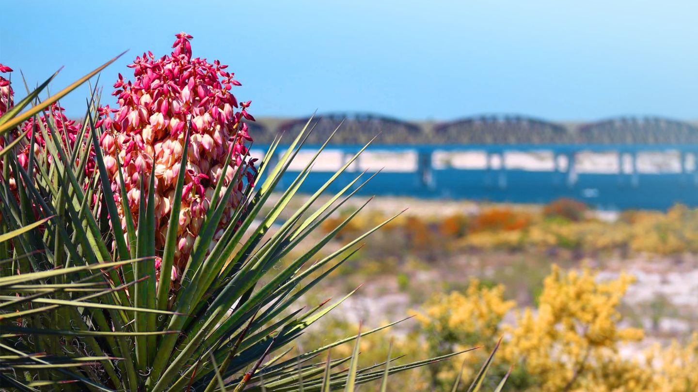 Amistad National Recreation Area