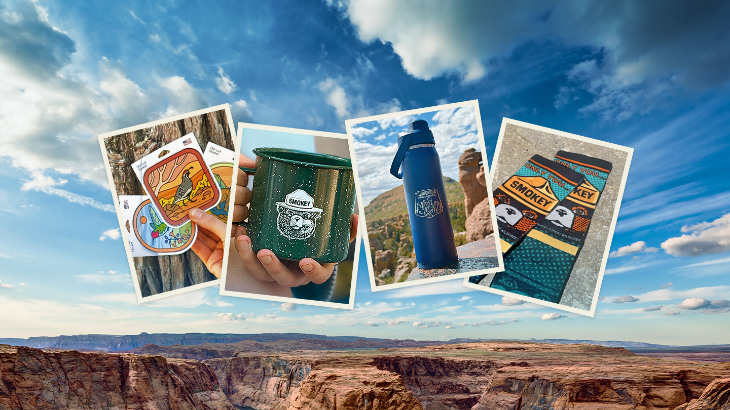Collage of outdoor-themed products with a scenic background