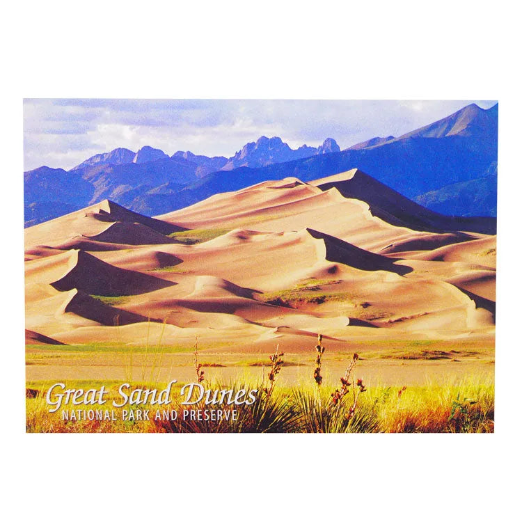 Great Sand Dunes National Park Postcard - Dune Photo