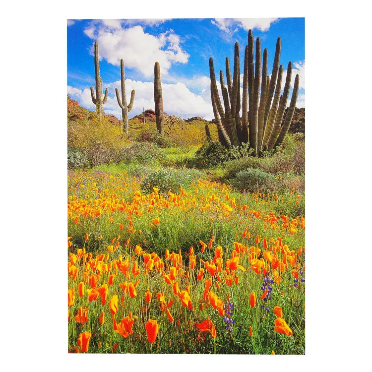Organ Pipe Cactus NM Poppies Postcard - WNP
