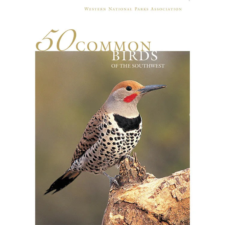 50 Common Birds of the Southwest Front Cover