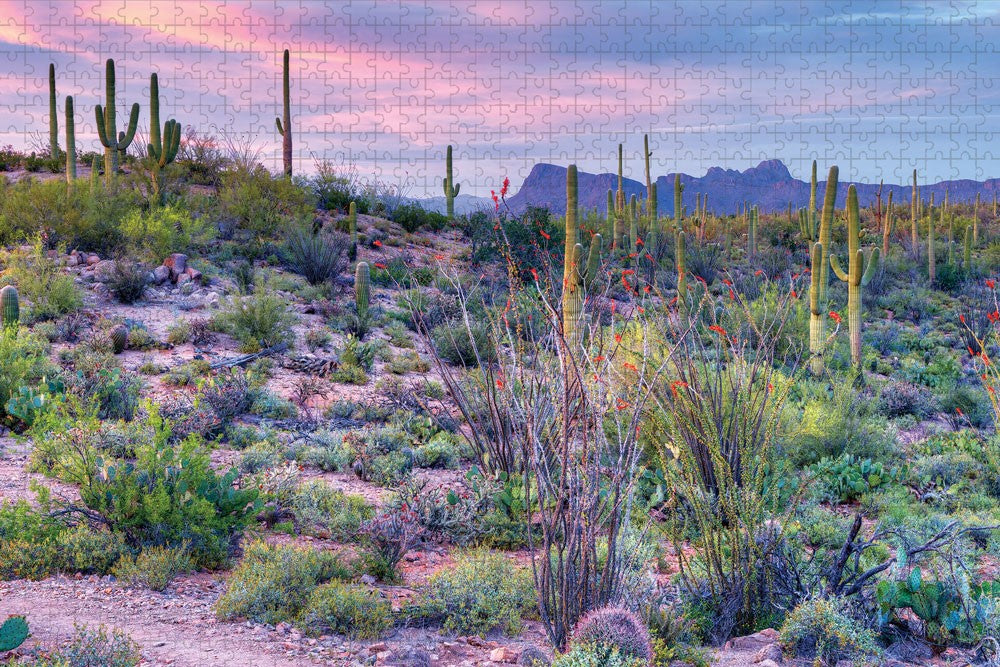 Saguaro National Park Double Puzzle