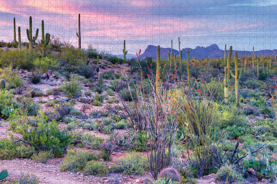 Saguaro National Park Double Puzzle