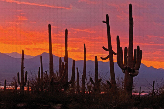 Saguaro National Park Double Puzzle