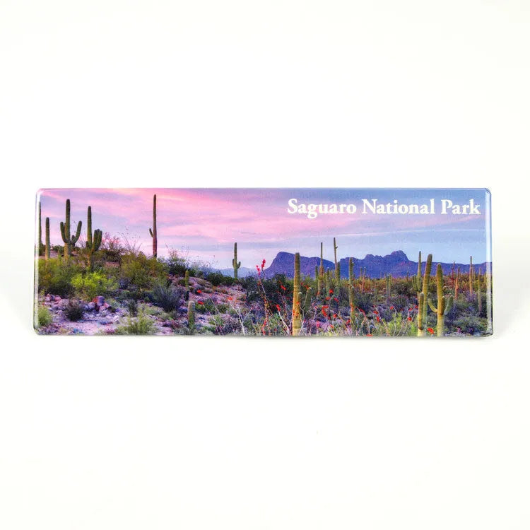 Saguaro National Park Magnet - Desert Panorama
