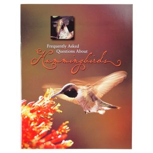 Frequently Asked Questions About Hummingbirds