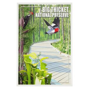 Big Thicket National Preserve Postcard - Boardwalk